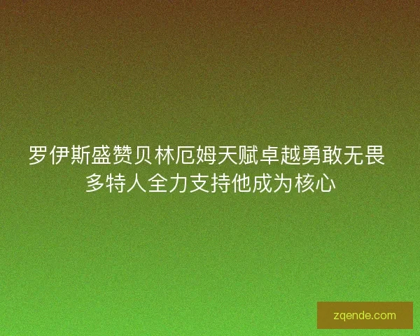 罗伊斯盛赞贝林厄姆天赋卓越勇敢无畏 多特人全力支持他成为核心